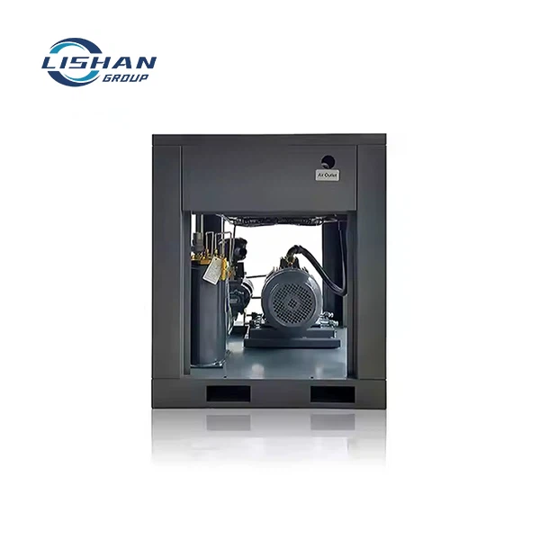 Bipolar Permanent Magnet Variabilă Frecvență Compresor de aer100a